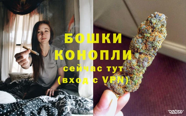 PSILOCYBIN Покров