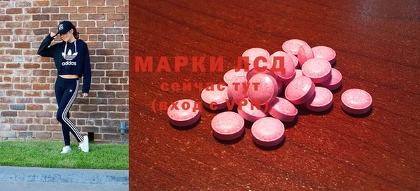 гидра Белоозёрский