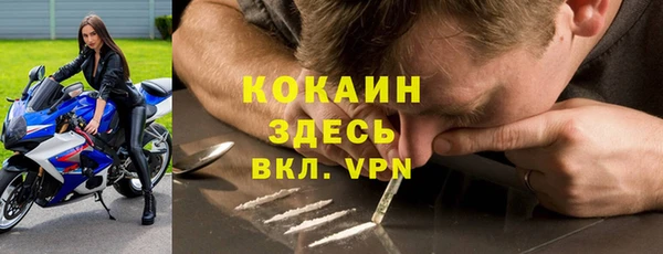гидра Белоозёрский